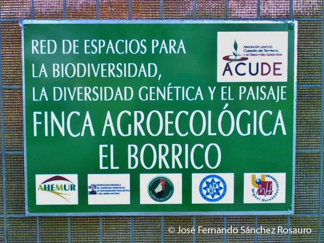 Finca Agroecolgica El Borrico   1 640x480 copia